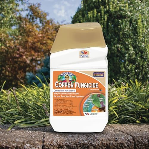 Bonide Captain Jack Copper Fungicide 16 oz Concentrated Plant Disease Control Solution for Organic Gardening - Image 5
