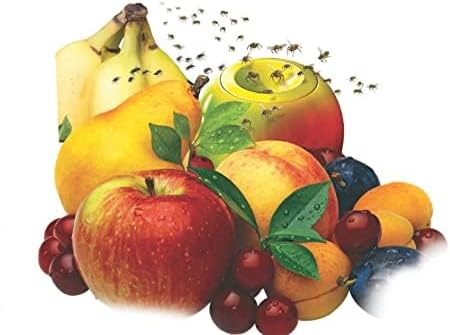 TERRO 2-Pack Fruit Fly Trap - Image 2