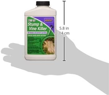 Bonide 2746 Stump & Vine Killer Concentrate, 8 oz Stumps and Vines Without harming Turf. Contains Brush Easy Application. Kills Oak, Poison Ivy and More, 1 - Image 9