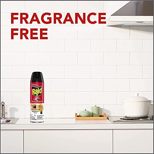 Raid Ant & Roach Spray Outdoor Fresh 17.50 oz (Pack of 3) - Image 7