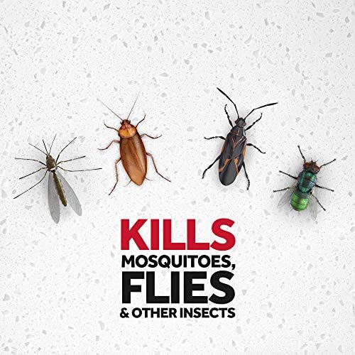Raid House & Garden I, Kills Insects without Harming Plants, 11 oz - Image 2