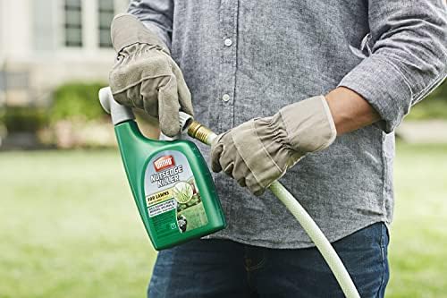 Ortho Nutsedge Killer for Lawns Ready-To-Spray, 32 fl. oz. (6-Pack) - Image 3
