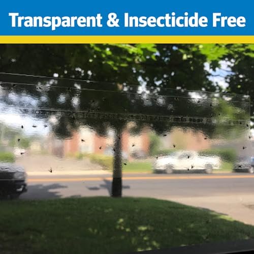 Raid Window Fly Trap 6 Pack, Fruit Fly Traps for Indoors, Disposable Bug Catcher, Paper Sticky Strips, Insect Glue Trap for Home, Kitchen, & Garage - Image 2