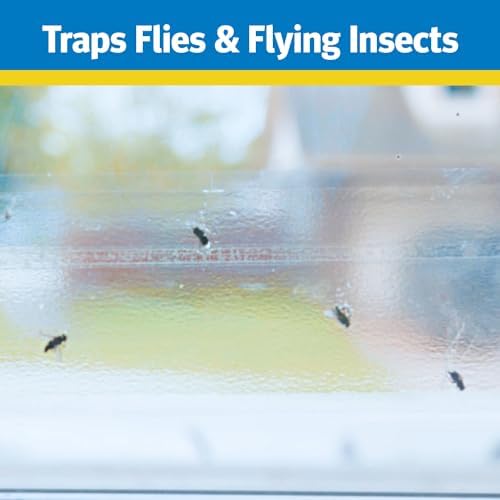 Raid Window Fly Trap 6 Pack, Fruit Fly Traps for Indoors, Disposable Bug Catcher, Paper Sticky Strips, Insect Glue Trap for Home, Kitchen, & Garage - Image 3