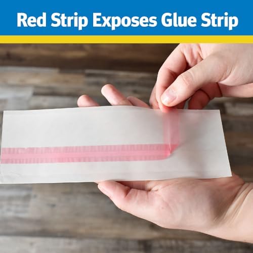 Raid Window Fly Trap 6 Pack, Fruit Fly Traps for Indoors, Disposable Bug Catcher, Paper Sticky Strips, Insect Glue Trap for Home, Kitchen, & Garage - Image 4