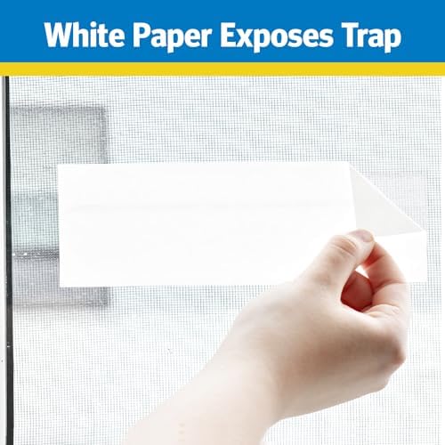Raid Window Fly Trap 6 Pack, Fruit Fly Traps for Indoors, Disposable Bug Catcher, Paper Sticky Strips, Insect Glue Trap for Home, Kitchen, & Garage - Image 6