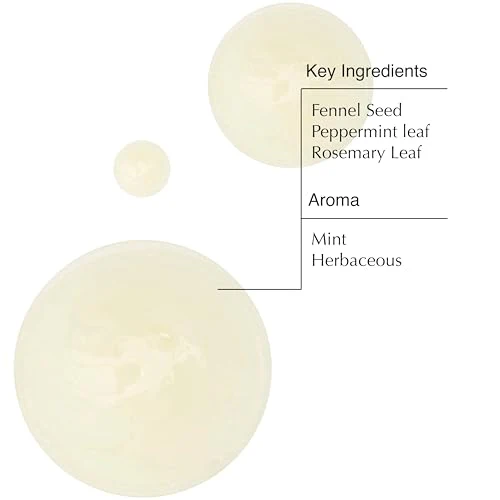 Aesop Volumizing Shampoo | Lifting Formulation for Volume and Body | Boosted with Polyquaternium 67 | 16.9 oz - Image 3