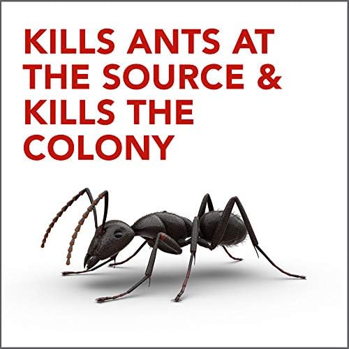 Raid Double Control Ant Baits, 4 CT (Pack - 1), plain - Image 7
