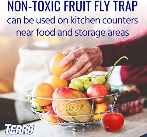 TERRO Fruit Fly Traps for Indoors (4 Pack) + 180 Days of Lure Supply - Image 10