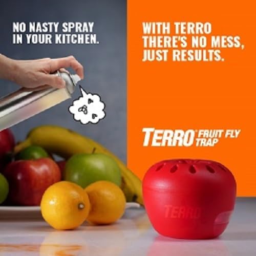TERRO Fruit Fly Traps for Indoors (4 Pack) + 180 Days of Lure Supply - Image 2