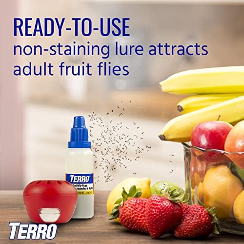 TERRO Fruit Fly Traps for Indoors (4 Pack) + 180 Days of Lure Supply - Image 3