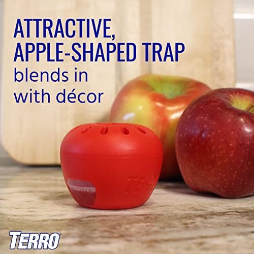 TERRO Fruit Fly Traps for Indoors (4 Pack) + 180 Days of Lure Supply - Image 4