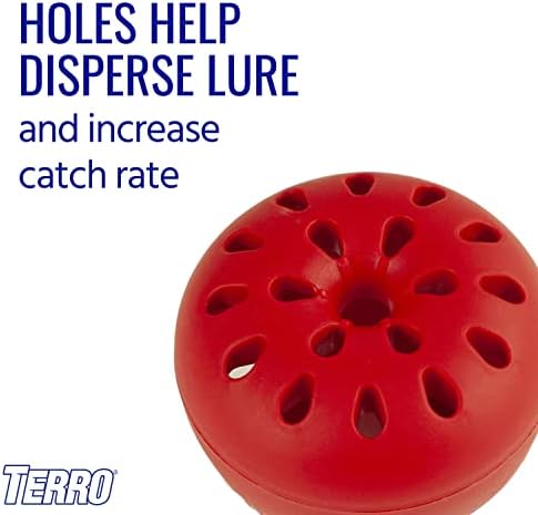 TERRO Fruit Fly Traps for Indoors (4 Pack) + 180 Days of Lure Supply - Image 7