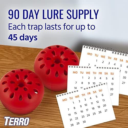 TERRO Fruit Fly Traps for Indoors (4 Pack) + 180 Days of Lure Supply - Image 9