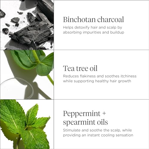 Briogeo Scalp Revival Charcoal + Tea Tree Scalp Treatment, Scalp Serum to Soothe a Dry, Flaky, Itchy Scalp, Absorb Oil, Hydrate Dry Scalp, Clarify Build Up, Vegan, Cruelty-Free, 1 fl oz - Image 5