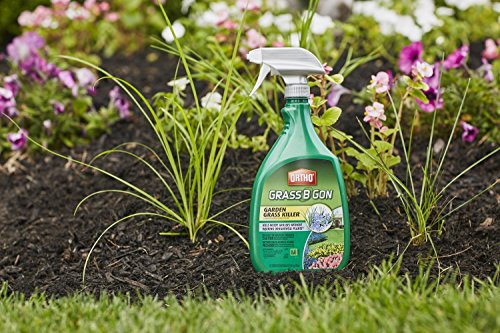 Ortho 0438580 Grass B Gon Garden Grass Killer Ready-to-Use, 24-Ounce (2 Pack) - Image 2