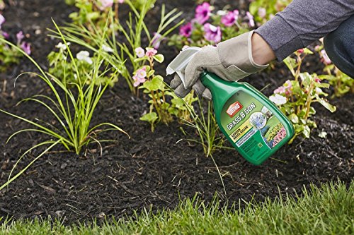 Ortho 0438580 Grass B Gon Garden Grass Killer Ready-to-Use, 24-Ounce (2 Pack) - Image 3