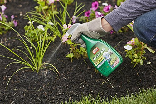 Ortho 0438580 Grass B Gon Garden Grass Killer Ready-to-Use, 24-Ounce (2 Pack) - Image 4