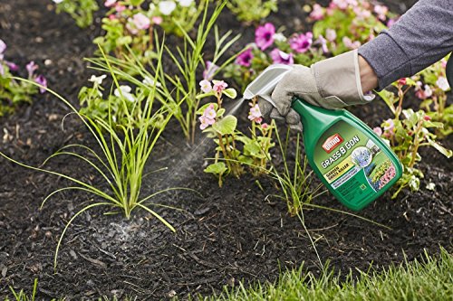 Ortho 0438580 Grass B Gon Garden Grass Killer Ready-to-Use, 24-Ounce (2 Pack) - Image 5