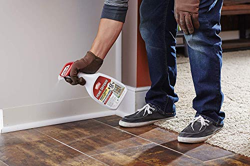 Home Defense Max Insect Killer, 24-oz. - Image 3