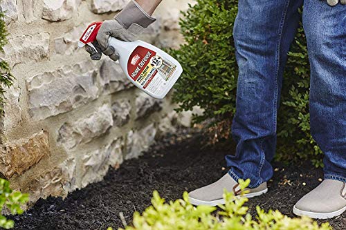 Home Defense Max Insect Killer, 24-oz. - Image 4