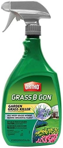 Ortho 0438580 Grass B Gon Garden Grass Killer Ready-to-Use Spray, 24-Ounce (2)