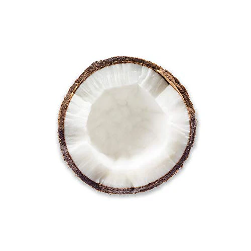 wet n wild Photo Focus Primer Water, Coconut - Image 3