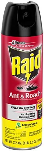 Raid Ant & Roach Killer Lemon Scent, 17.5 OZ (6) - Image 4