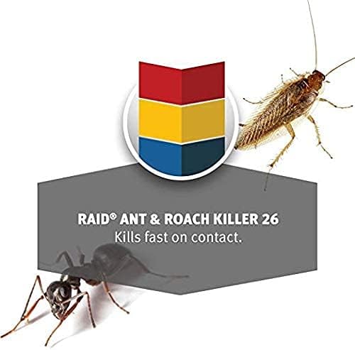 Raid Ant & Roach Spray Outdoor Fresh 17.50 oz (Pack of 6) - Image 4