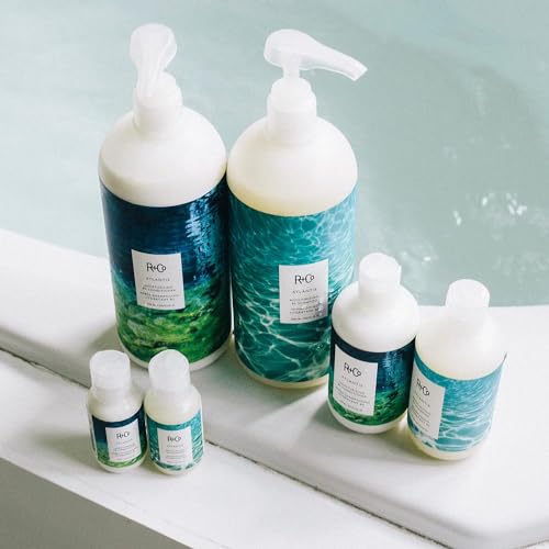 R+Co Atlantis Moisturizing B5 Conditioner | Nourishing + Tames Frizz + Intense Hydration | Vegan + Cruelty-Free | - Image 4