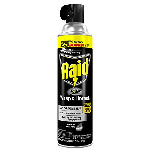 Raid Wasp and Hornet Killer, 17.5 OZ (Pack - 3) - Image 2