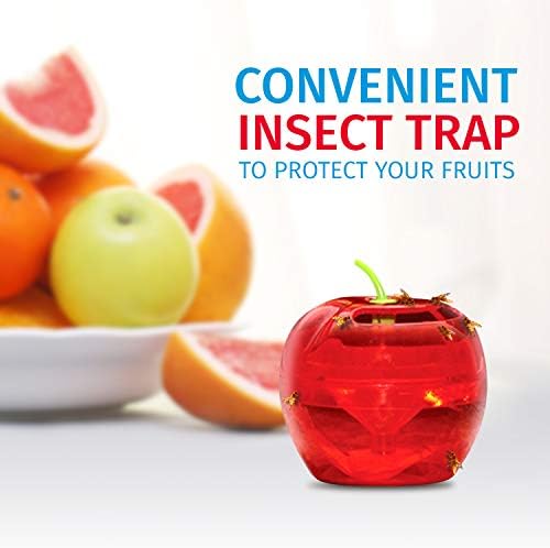 Fruit Fly Traps for Indoors by Raid | 2 Lures + 2 Refills | Effective Fruit Fly Trap for Indoor Use | Fruit Fly Killer & Gnat Traps for House Indoor | Easy to Use & Safe Food-Based Lure Fly Catcher - Image 2