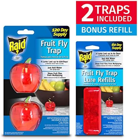 Fruit Fly Traps for Indoors by Raid | 2 Lures + 2 Refills | Effective Fruit Fly Trap for Indoor Use | Fruit Fly Killer & Gnat Traps for House Indoor | Easy to Use & Safe Food-Based Lure Fly Catcher - Image 3