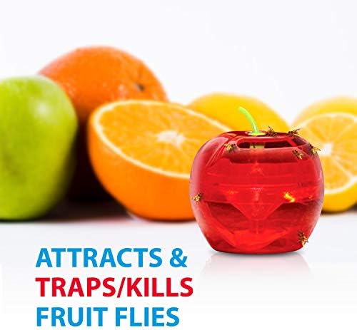 Fruit Fly Traps for Indoors by Raid | 2 Lures + 2 Refills | Effective Fruit Fly Trap for Indoor Use | Fruit Fly Killer & Gnat Traps for House Indoor | Easy to Use & Safe Food-Based Lure Fly Catcher - Image 4