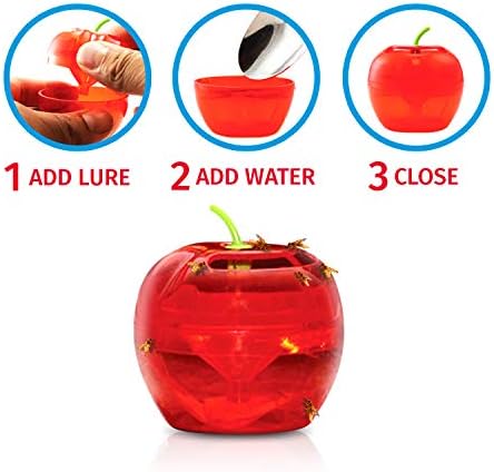 Fruit Fly Traps for Indoors by Raid | 2 Lures + 2 Refills | Effective Fruit Fly Trap for Indoor Use | Fruit Fly Killer & Gnat Traps for House Indoor | Easy to Use & Safe Food-Based Lure Fly Catcher - Image 5