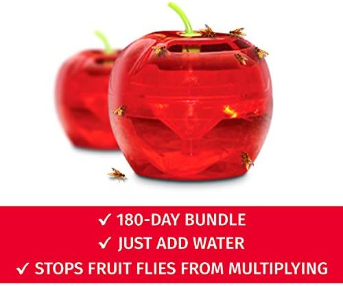 Fruit Fly Traps for Indoors by Raid | 2 Lures + 2 Refills | Effective Fruit Fly Trap for Indoor Use | Fruit Fly Killer & Gnat Traps for House Indoor | Easy to Use & Safe Food-Based Lure Fly Catcher - Image 7