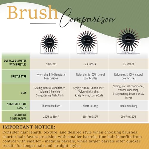Belula Boar Bristle Round Brush for Blow Drying Set. Round Hair Brush With Large 2.7” Wooden Barrel. Hairbrush Ideal to Add Volume and Body. Free 3 x Hair Clips & Travel Bag. - Image 6