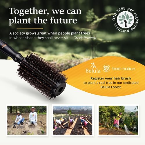 Belula Boar Bristle Round Brush for Blow Drying Set. Round Hair Brush With Large 2.7” Wooden Barrel. Hairbrush Ideal to Add Volume and Body. Free 3 x Hair Clips & Travel Bag. - Image 9