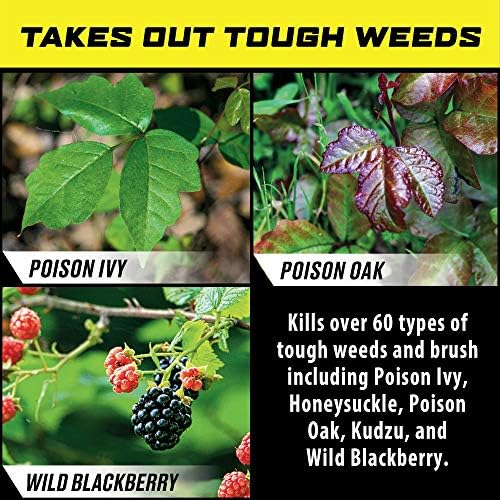Ortho GroundClear Poison Ivy & Tough Brush Killer1, Concentrate, 32 fl. oz. - Image 4