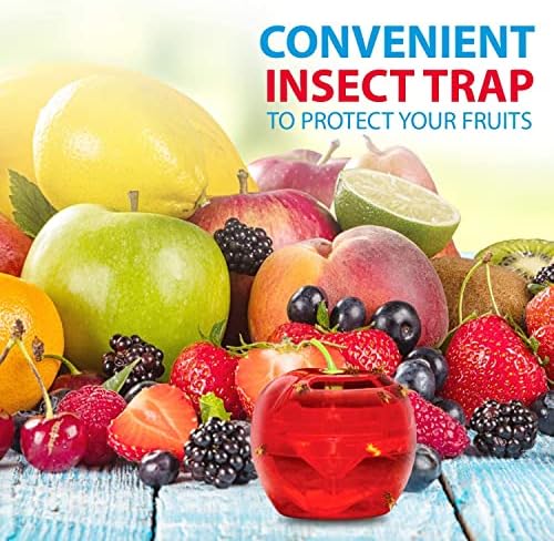 Raid Fruit Fly Trap Bundle, Set of 3 2-Pack Apple Fruit Fly Catcher Indoor Trap, 360-Day Supply of Fruit Fly Traps for Kitchen & Dining Areas, Reusable Gnat Traps w/Food-Based Lure for Fruit Flies - Image 8