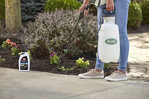 Ortho GroundClear Weed and Grass Killer Super Concentrate - Kills Weeds and Grass, Kills to the Root, Starts Working Immediately, for Patios and Landscaped Areas, 32 fl. oz. - Image 5