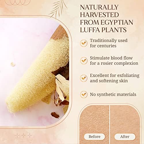 All Natural Loofah Sponge, Pack of 2 Real Egyptian Bath & Shower Exfoliating Loofa Scrubber Sponges for Face, Back & Body, Eco Friendly, No Toxic Chemicals, 6" x 6" by Crafts of Egypt - Image 7