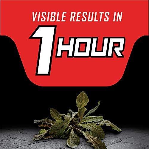Ortho GroundClear Year Long Vegetation Killer Refill - Visible Results in 1 Hour, Kills Weeds and Grasses to the Root, Up to 1 Year of Weed and Grass Control, 1.33 gal. - Image 6