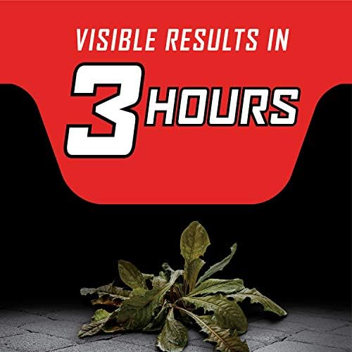 Ortho GroundClear Year Long Vegetation Killer1 Concentrate, Kills Weeds and Grasses, Prevents Unwanted Weeds and Grasses for up to 1 Year, 2 gal. - Image 6
