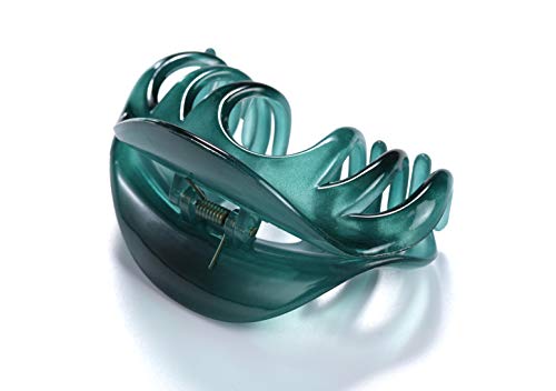 Hair Claw for Women, 4 Inch Pretty Hair Clip, Hair Grip for Thick Hair, Coffee and Niagara blue - Image 5