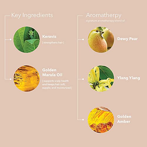 Pureology Nanoworks Gold Conditioner - For Very Dry and Color-Treated Hair, Restores & Strengthens Hair, Sulfate-Free & Vegan - Image 4