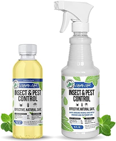 Mighty Mint Peppermint Oil Insect & Pest Control Spray with Concentrate - Makes 1 Gallon - Image 2