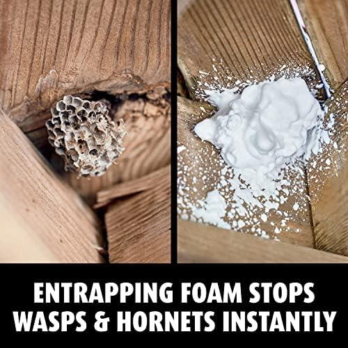Ortho VB00028 Home Defense Killer7 16 oz, 3-Pack Hornet & Wasp Killer, 3 Pack, - Image 3