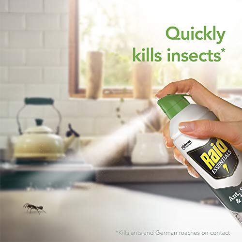 Raid Essentials Ant Spider, and Roach Killer Aerosol Spray, Child & Pet Safe, Kills Insects Quickly, for Indoor Use, 10 oz (Pack of 3) - Image 4