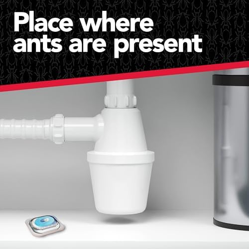 Raid Max Liquid Ant Bat; Kills Ants Where They Breed, For Indoor and Outdoor Use; 8 Bait Stations - Image 4